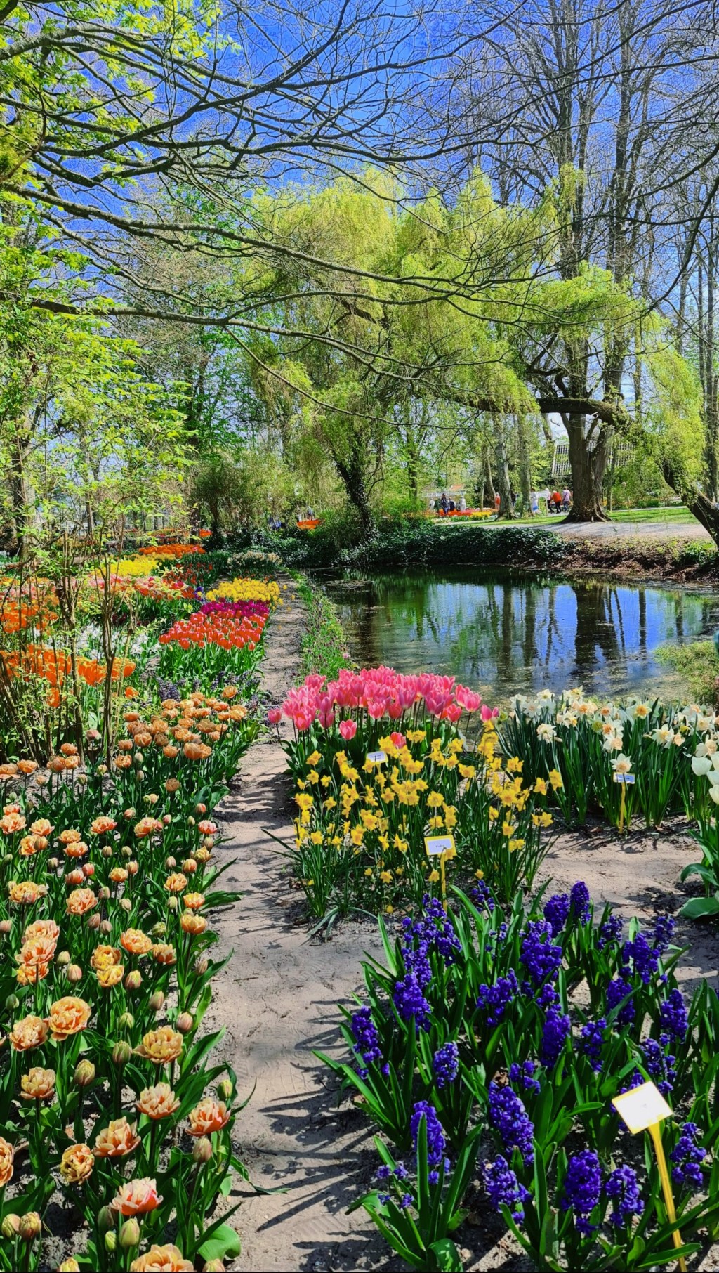 Dutch Gardens: Urban Oasis and Countryside&nbsp;Extensions