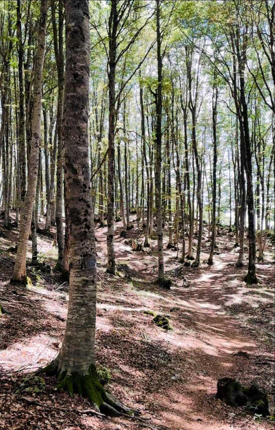 The Mask of Leadership: A Reflection on the Cost of Hidden&nbsp;Emotions